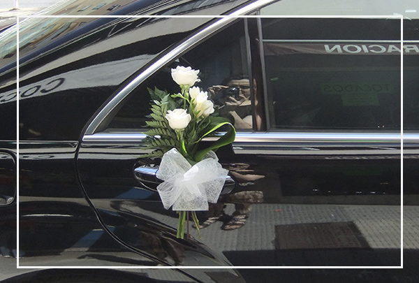 Decoración del vehículo