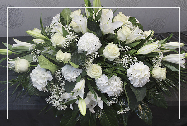 Funearios - Todos los Santos